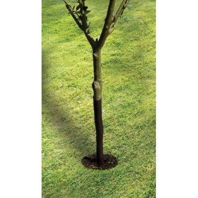 Protezione per alberi a spirale 61cm