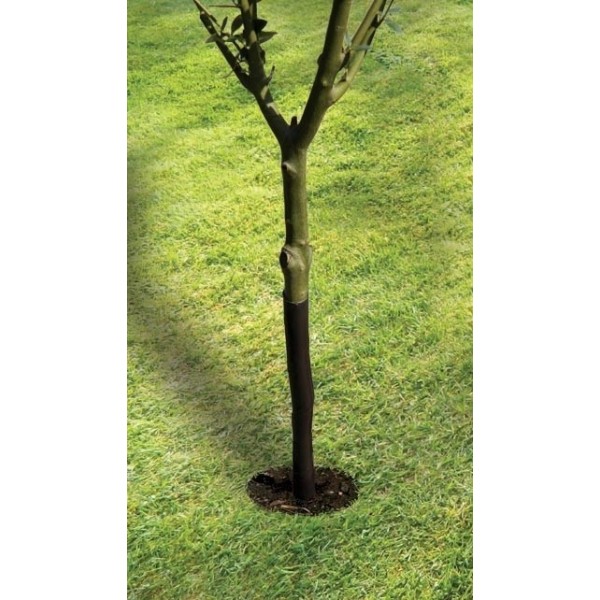Protetor de árvore em espiral 61cm