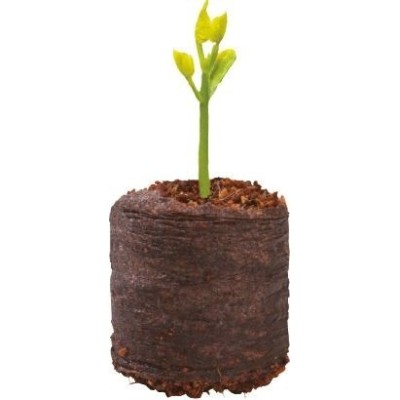 20 grânulos de coco 20 grânulos de coco