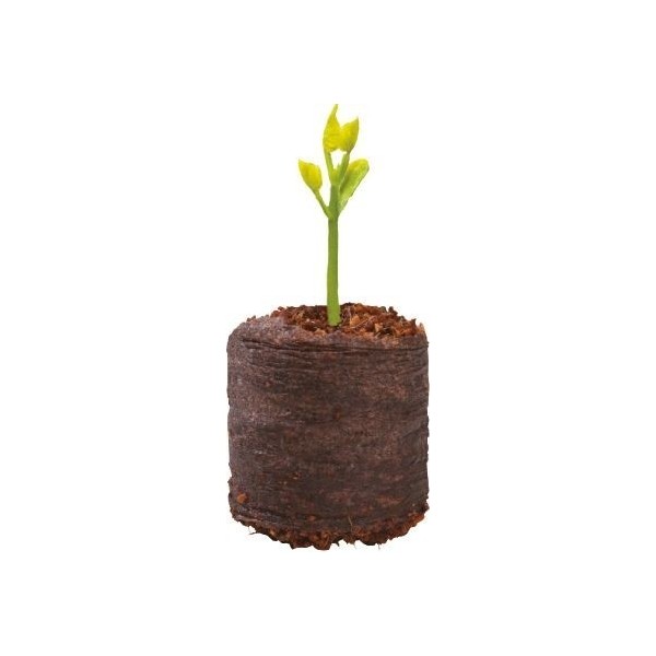 20 grânulos de coco