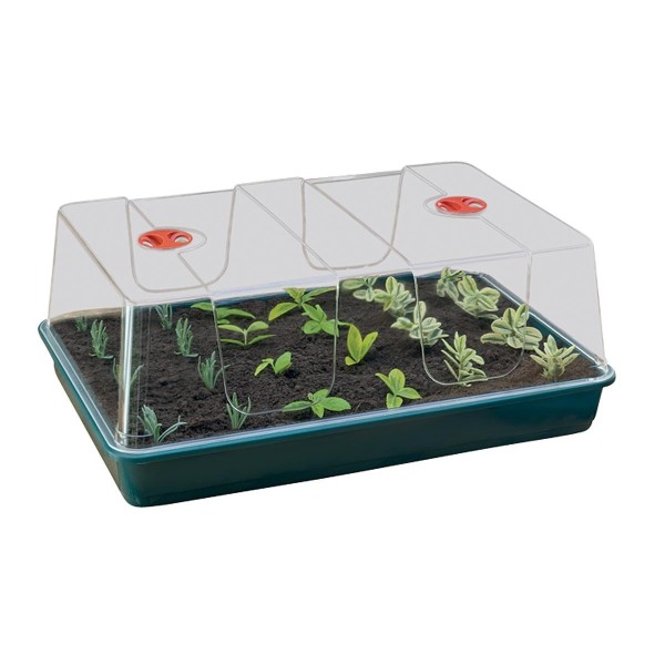 Estufa XL High Dome verde