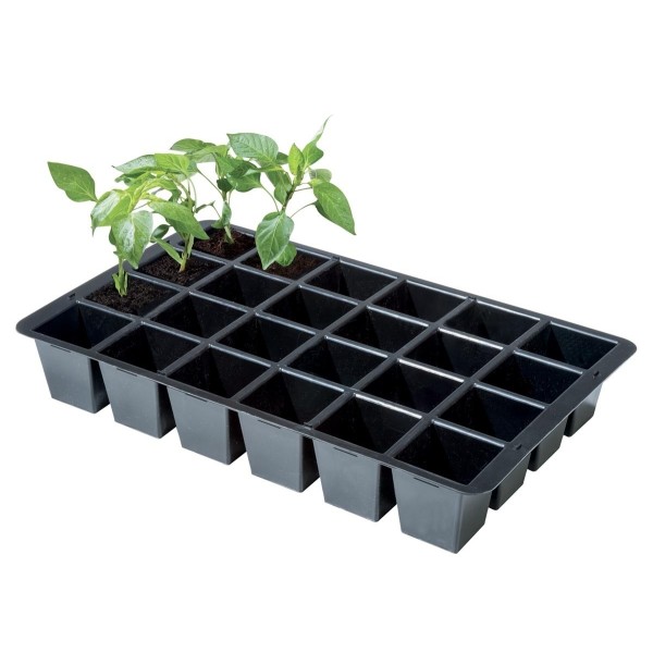 Inserções Premium 24 células (conjunto de 2)