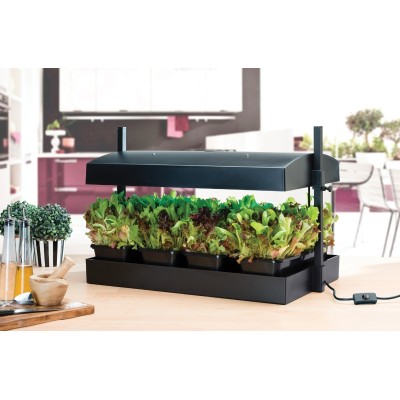 Lâmpada de cultivo Grow Light Jardim Preto Lâmpada de cultivo Grow Light Jardim Preto