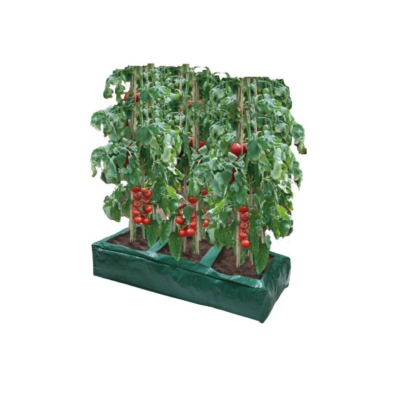 Standard grow bag