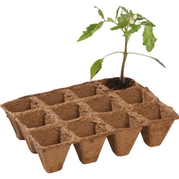 Conjunto de 36 vasos biodegradáveis de fibra de 5 cm