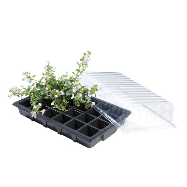Mini estufa - conjunto de três propagadores