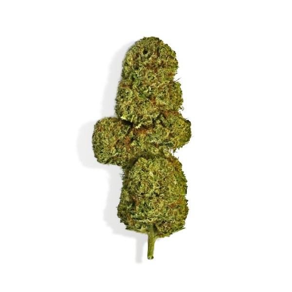 CBD-Blüte - OG DIAMOND