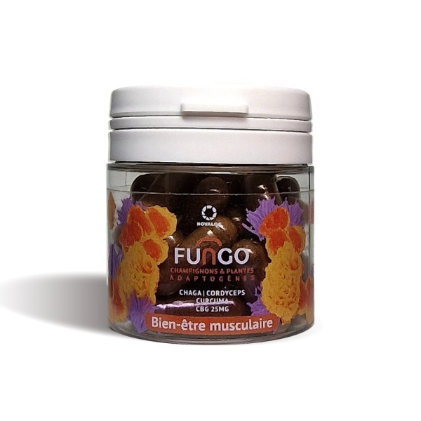 CBG capsule & mushrooms for muscle wellness | FUNGO, NOVALOA