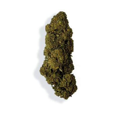 Flor de CBD - CHARLOTTE'S WEB Flor de CBD - CHARLOTTE'S WEB