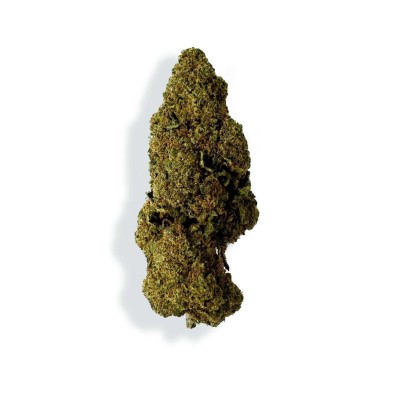 CBD-Blüte - RASPBERRY HAZE CBD-Blüte - RASPBERRY HAZE