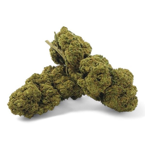 Fiore di CBD Harlequin Indoor Premium