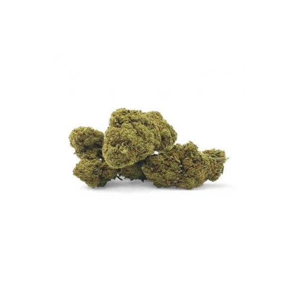CBD-Blüte San Francisco