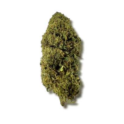 CBD-Blüte MCP-N 20% CBD-Blüte MCP-N 20%
