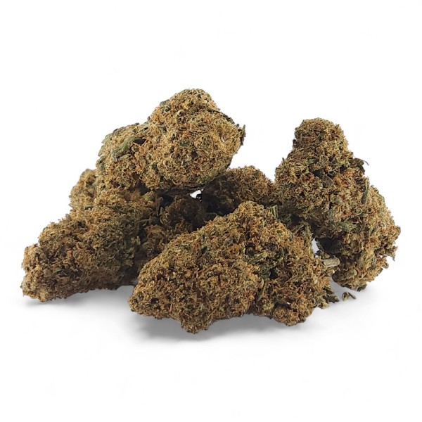 Kritische CBD-Blüte+ Indoor