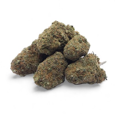 Flor de CBD Gelato Glue Indoor Premium Flor de CBD Gelato Glue Indoor Premium