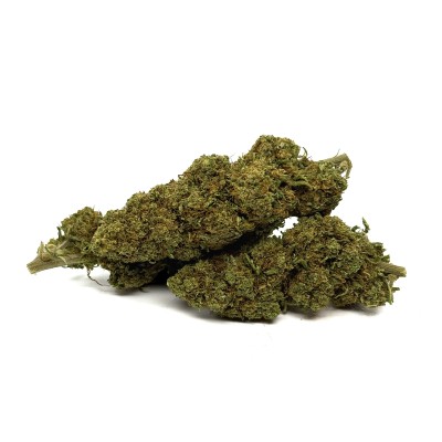Flor de CBD Orange Bud de Invernadero Flor de CBD Orange Bud de Invernadero