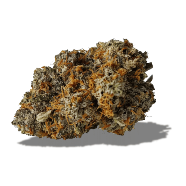 Mendo Breath