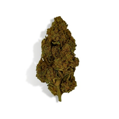 CBD-Blüte - TONIC KUSH CBD-Blüte - TONIC KUSH