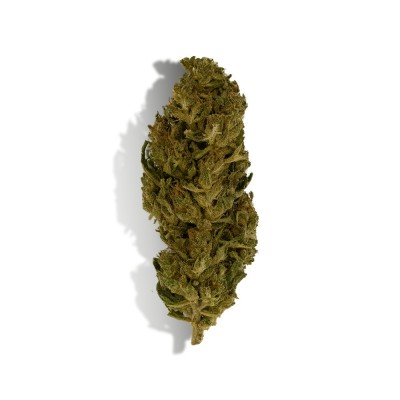 CBD Flower - LEMON HAZE CBD Flower - LEMON HAZE