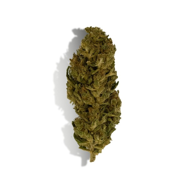 CBD-Blüte - LEMON HAZE