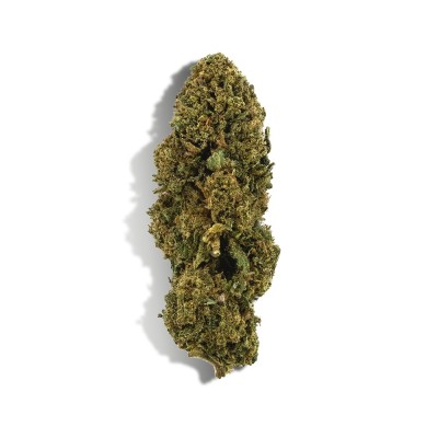 Fiore di CBD - WHITE DAWG Fiore di CBD - WHITE DAWG