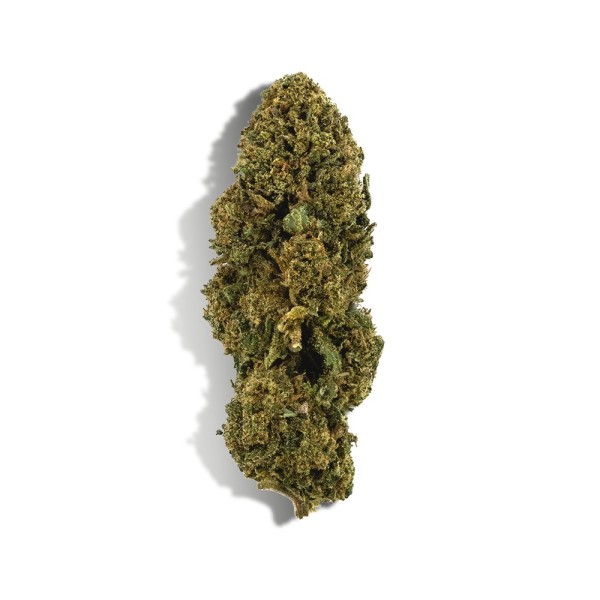 Fiore di CBD - WHITE DAWG