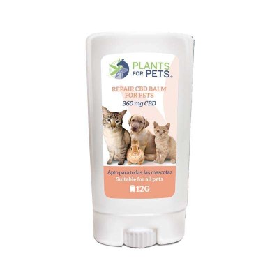 CBD-Reparaturbalsam für Tiere light | PLANTS FOR PETS CBD-Reparaturbalsam für Tiere light | PLANTS FOR PETS