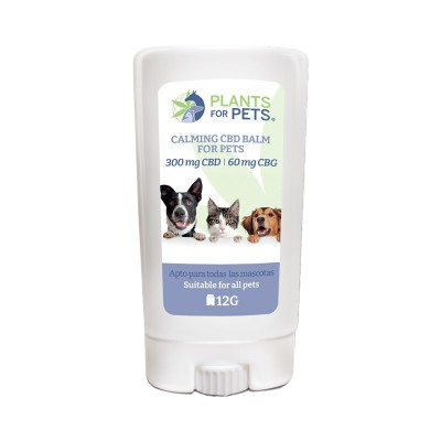 Bálsamo CBD calmante para animais light | PLANTS FOR PETS Bálsamo CBD calmante para animais light | PLANTS FOR PETS