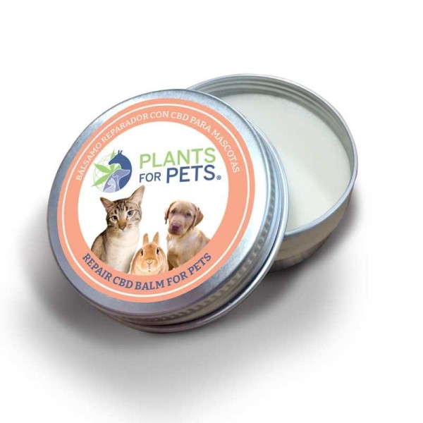 Balsamo CBD riparatore per animali forte | PLANTS FOR PETS