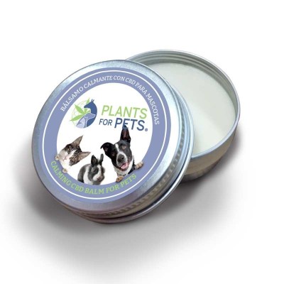 Bálsamo calmante de CBD para mascotas Plants for Pets 500mg Bálsamo calmante de CBD para mascotas Plants for Pets 500mg