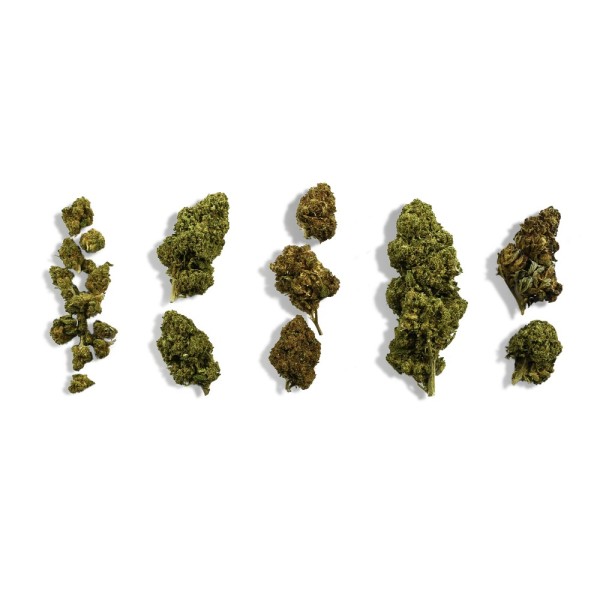 Kit iniciante de descoberta de flores de CBD