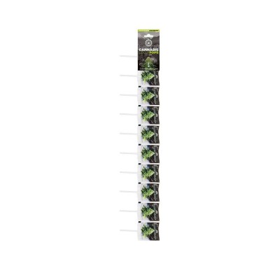 Cannabis lollipop white widow - 10 pcs | MULTITRANCE Cannabis lollipop white widow - 10 pcs | MULTITRANCE