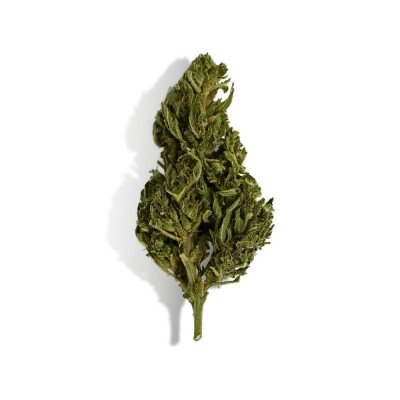 CBD-Blüte - EUPHORIA CBD-Blüte - EUPHORIA
