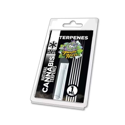 Purple Haze Terpene | PLANT OF LIFE Purple Haze Terpene | PLANT OF LIFE
