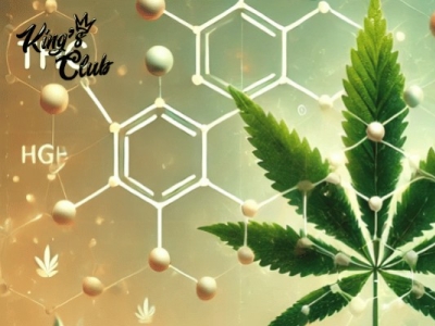 Die Auswirkungen von Cannabis auf die Gewichtsabnahme: Was sagen die Studien?